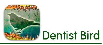 Dentist Bird logo
